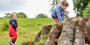 Children Playing on a Treestump at Fell Foot in Newby Bridge, Lake District - ©Shaun Burr