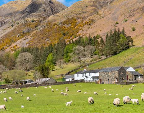 Exterior and Stunning Views from Fornside Farm Cottages in St Johns-in-the-Vale, Lake District