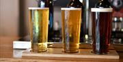 Beer Tasting Flight on a Tour with Gloriously Artisan Tours in the Lake District, Cumbria