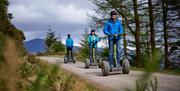 Visitors on Segways from Go Ape in Grizedale Forest in the Lake District, Cumbria