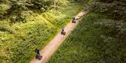 View of Visitors on Segways from above at Go Ape in Grizedale Forest in the Lake District, Cumbria