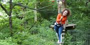 Visitor Smiles and Walks Across a Rope Bridge at Go Ape in Grizedale Forest in the Lake District, Cumbria