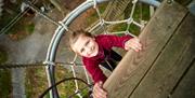 Child Climbing and Smiling at the Camera at Go Ape in Grizedale Forest in the Lake District, Cumbria
