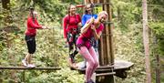 Visitors Laughing on a Treetop Challenge at Go Ape in Grizedale Forest in the Lake District, Cumbria
