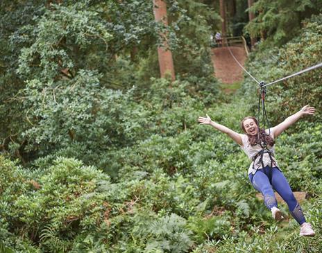 Visitor on the Zipline at Go Ape in Grizedale Forest in the Lake District, Cumbria