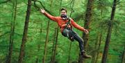 Visitor Ziplining with a Forest Backdrop at Go Ape in Grizedale Forest in the Lake District, Cumbria