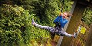 Visitor Excitedly Ziplining at Go Ape in Grizedale Forest in the Lake District, Cumbria