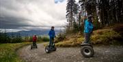 Visitors Segway Uphill at Go Ape in Whinlatter Forest Park in Braithwaite, Lake District