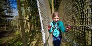 Child on a Treetop Challenge at Go Ape in Whinlatter Forest Park in Braithwaite, Lake District