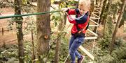 Child Climbs a Treetop Challenge at Go Ape in Whinlatter Forest Park in Braithwaite, Lake District