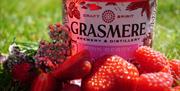 Pink Berry Gin from Grasmere Brewery & Distillery in Grasmere, Lake District