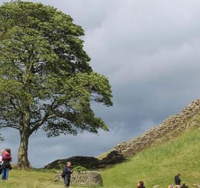 Great Guided Tours in Carlisle, Cumbria