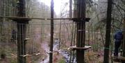 Ropes Courses at Go Ape Grizedale in Grizedale Forest, Lake District