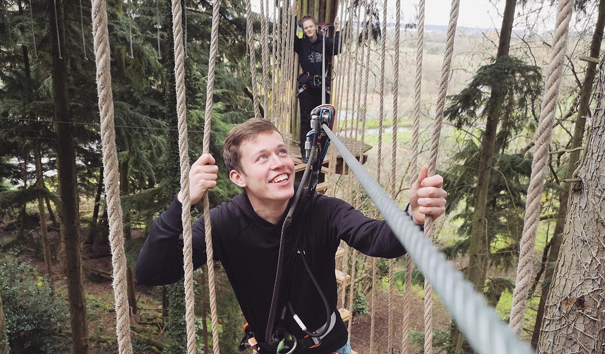 Connect with Nature at Go Ape Grizedale in Grizedale Forest, Lake District