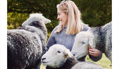 Visitor Hugging the Sheep at Herdwick Experience at Yew Tree Farm in Coniston, Lake District