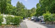 Holiday homes for sale at Hill of Oaks Holiday Park in Windermere, Lake District