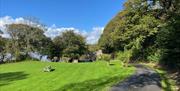 Grassy area at Hill of Oaks Holiday Park in Windermere, Lake District