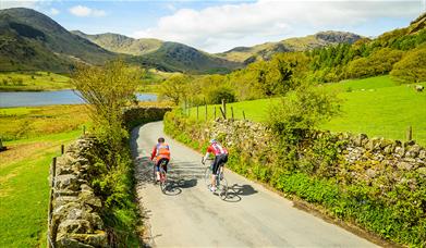 Visitors on a Guided Cycling Holiday with Coast to Coast Packhorse in the Lake District, Cumbria