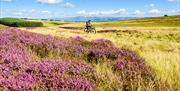 Visitor on a Guided Cycling Holiday with Coast to Coast Packhorse in the Lake District, Cumbria