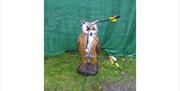 Owl Archery Target with Joint Adventures in the Lake District, Cumbria