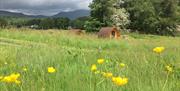 Grounds and Exterior at Kentmere Farm Pods near Staveley, Lake District