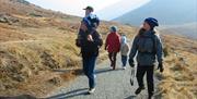 Lake District Family Adventure with Wandering Aengus Treks in the Lake District, Cumbria