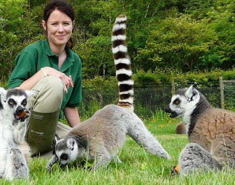 Ultimate Animal Experience at The Lake District Wildlife Park in Bassenthwaite, Lake District