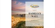 Advert for Hadrian's Wall Tour with Lakeside Travel Services in the Lake District, Cumbria