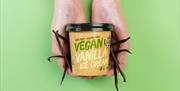 Vegan Vanilla Ice Cream from Lakes Ice Cream in Kendal, Cumbria