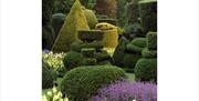 World's oldest topiary garden at Levens Hall & Gardens in Levens, Cumbria