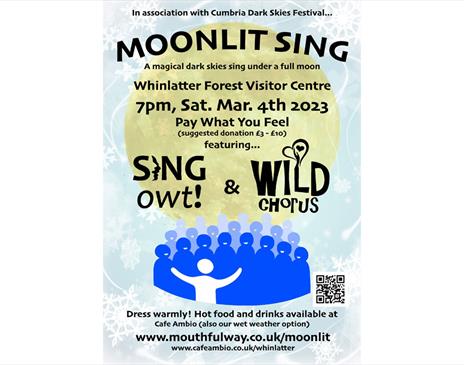 Moonlit Sing at Whinlatter Forest in the Lake District, Cumbria