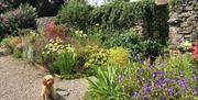 Dog Friendly Gardens at Morland House in Morland, Cumbria
