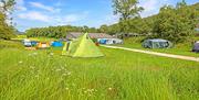 Camping Pitches at Moss Howe Farm Campsite in Witherslack, Lake District
