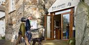 Dogs on leads at The Armitt: Museum, Gallery, Library in Ambleside, Lake District