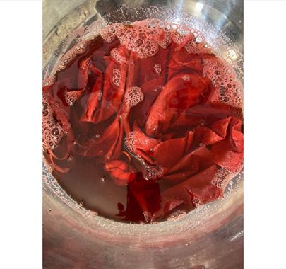 Dye Bath at the Natural Dyeing Workshop at Florence Arts Centre in Egremont, Cumbria