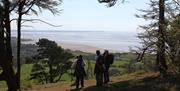 Experience wildlife and nature with NaturesGems Wildlife Tours in Morcombe Bay