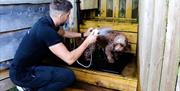 Visitor Washing a Dog at Orchard Hideaways in Penrith, Cumbria