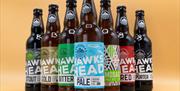 Range of Locally Crafted Beers Available at Hawkshead Brewery & Beer Hall in Staveley, Lake District