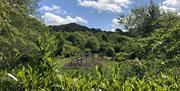 Views and Children's Outdoor Play Area at Moor View Cottage at Park Cliffe Camping & Caravan Estate near Windermere, Lake District