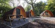 The Pods at Ghyll Head POD Village in Bowness-on-Windermere, Lake District