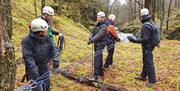 Team Building Activities with Path to Adventure in the Lake District, Cumbria