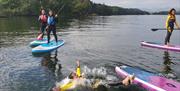 Group Instructed Paddleboarding on Windermere with Graythwaite Adventure in the Lake District, Cumbria