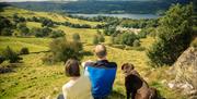 Pet Friendly Holidays at Park Cliffe Camping & Caravan Park in Windermere, Lake District