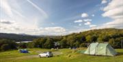 Camping with a view at Park Cliffe Camping & Caravan Park in Windermere, Lake District