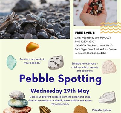 Pebble Spotting