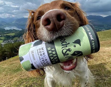 Natural Pet Food and Supplements from Pooch & Mutt, Cumbria