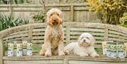 Natural Pet Food and Supplements from Pooch & Mutt, Cumbria