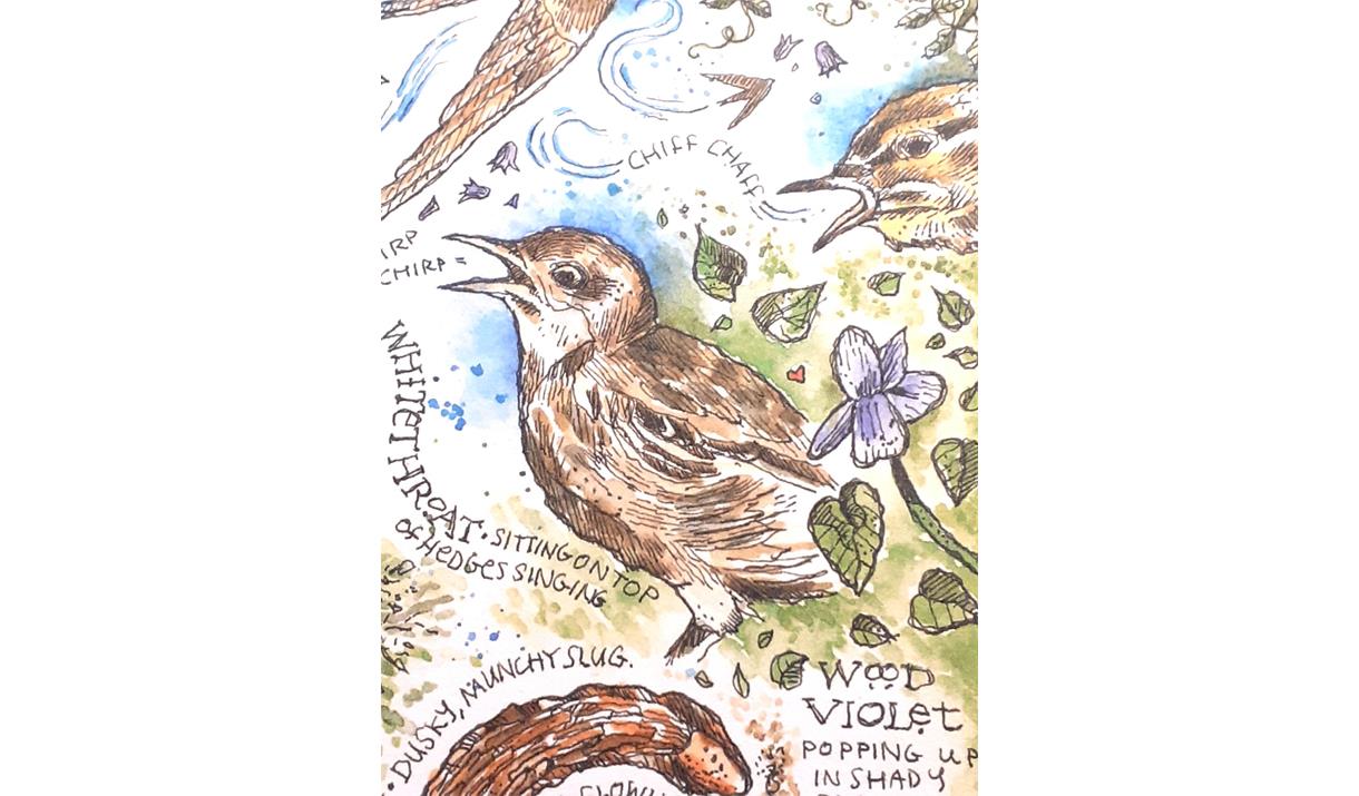 Artwork Promoting Shortcut to Nature Journalling with Steve Pardue at Quirky Workshops in Greystoke, Cumbria