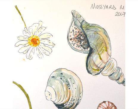 Learn to Draw from Observation ~ Friday PM Spring Series with Sarah Alty at Quirky Workshops at Greystoke Craft Garden & Barns in Greystoke, Cumbria