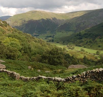 Lake District Valley and Surrounding Fells